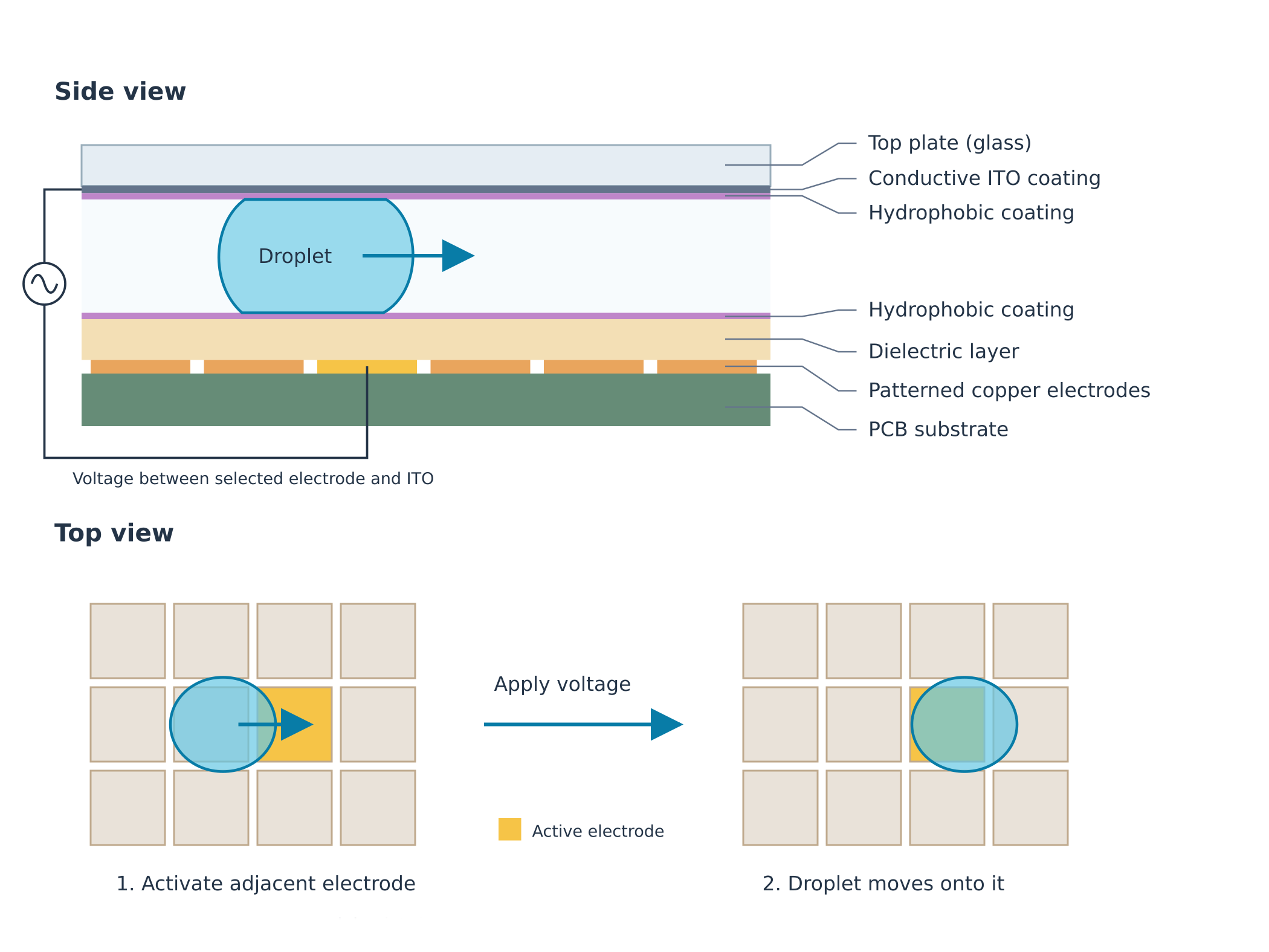 A diagram illustrating the electrowetting behavior